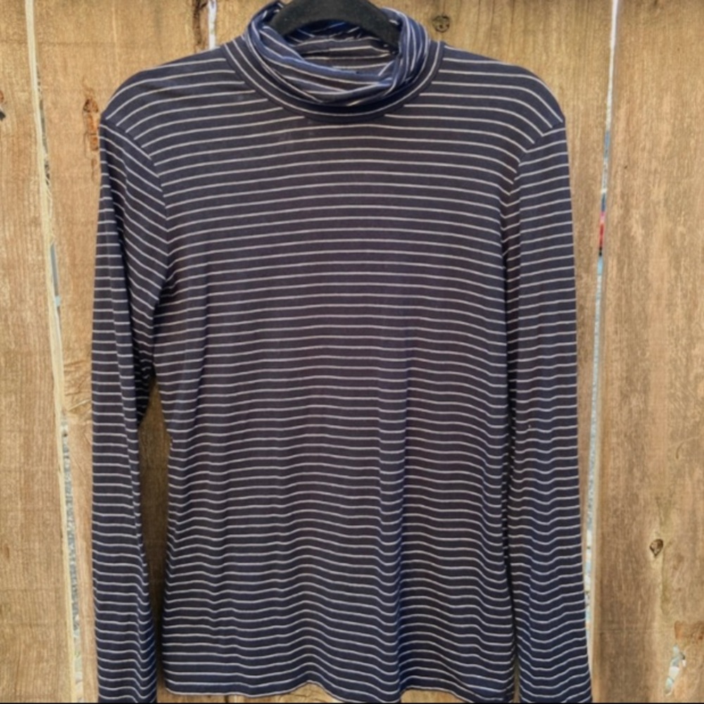 Striped Banana Republic Turtle Neck